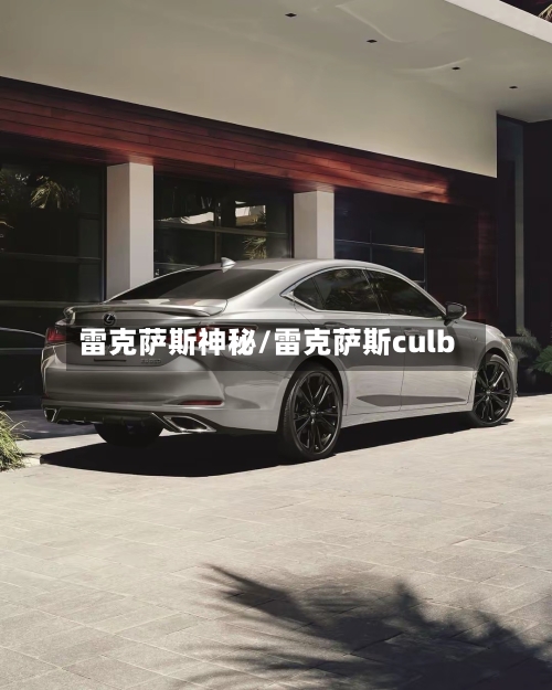 雷克萨斯神秘/雷克萨斯culb-第2张图片
