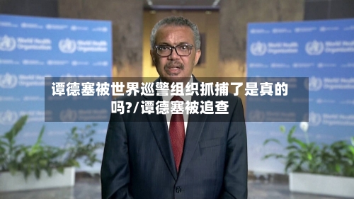 谭德塞被世界巡警组织抓捕了是真的吗?/谭德塞被追查-第2张图片
