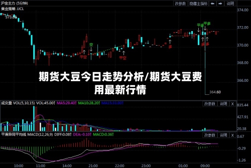 期货大豆今日走势分析/期货大豆费用最新行情-第2张图片