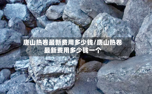 唐山热卷最新费用多少钱/唐山热卷最新费用多少钱一个-第1张图片
