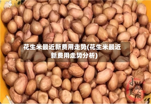 花生米最近新费用走势(花生米最近新费用走势分析)-第1张图片