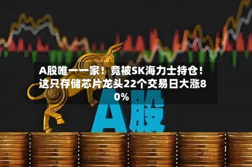 A股唯一一家!竟被SK海力士持仓!这只存储芯片龙头22个交易日大涨80%-第1张图片