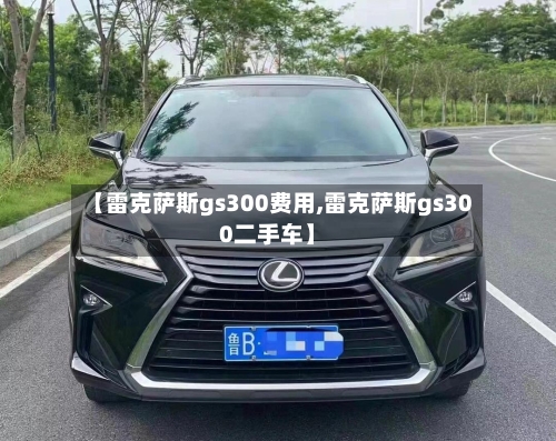 【雷克萨斯gs300费用,雷克萨斯gs300二手车】-第1张图片