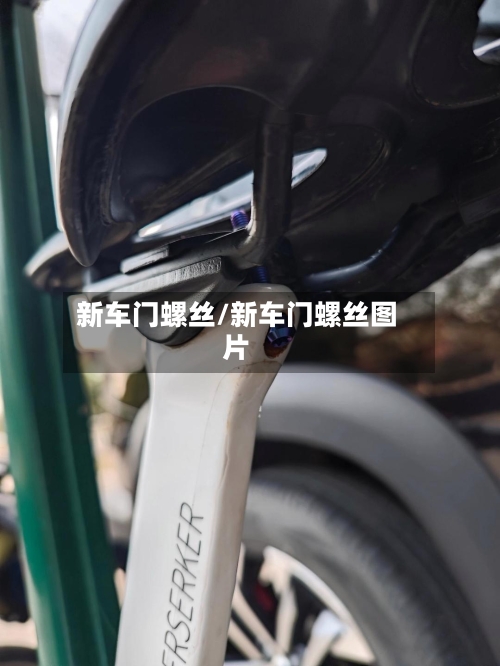 新车门螺丝/新车门螺丝图片-第1张图片