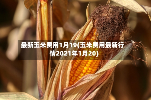 最新玉米费用1月19(玉米费用最新行情2021年1月20)-第3张图片