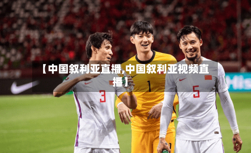 【中国叙利亚直播,中国叙利亚视频直播】-第2张图片