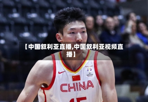 【中国叙利亚直播,中国叙利亚视频直播】-第3张图片