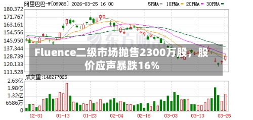 Fluence二级市场抛售2300万股	，股价应声暴跌16%-第1张图片