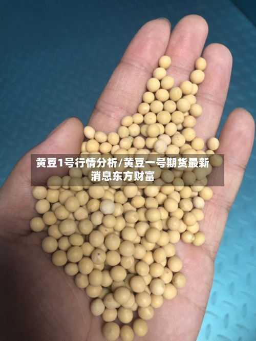 黄豆1号行情分析/黄豆一号期货最新消息东方财富-第1张图片