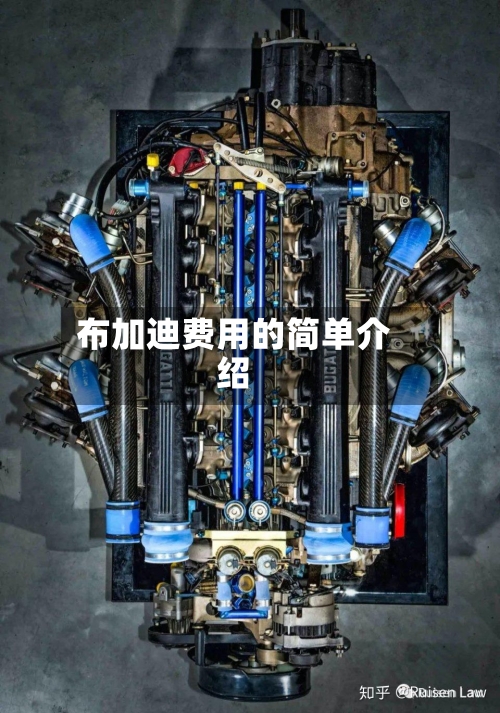 布加迪费用的简单介绍-第2张图片