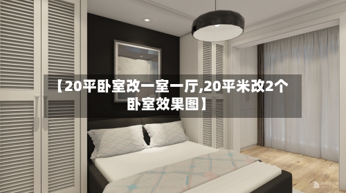 【20平卧室改一室一厅,20平米改2个卧室效果图】-第2张图片