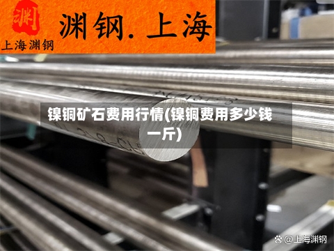 镍铜矿石费用行情(镍铜费用多少钱一斤)-第3张图片