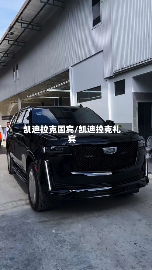 凯迪拉克国宾/凯迪拉克礼宾-第1张图片