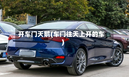 开车门天鹅(车门往天上开的车)-第1张图片