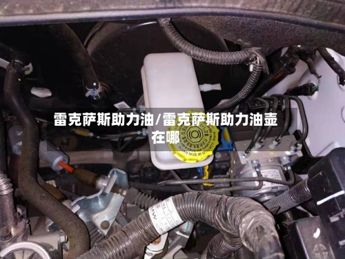 雷克萨斯助力油/雷克萨斯助力油壶在哪-第3张图片