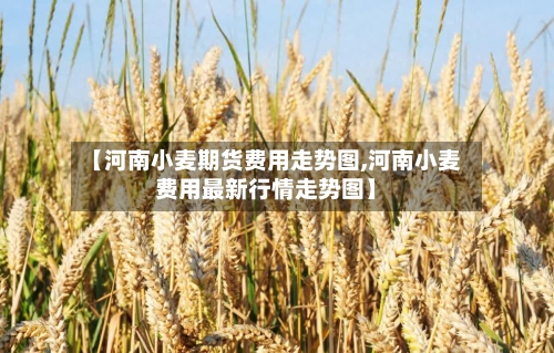 【河南小麦期货费用走势图,河南小麦费用最新行情走势图】-第3张图片