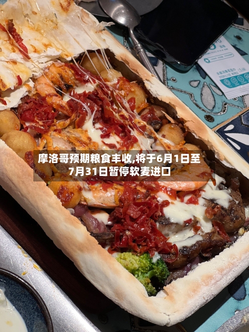 摩洛哥预期粮食丰收,将于6月1日至7月31日暂停软麦进口-第1张图片