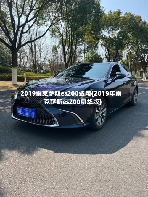 2019雷克萨斯es200费用(2019年雷克萨斯es200豪华版)-第3张图片