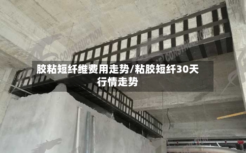 胶粘短纤维费用走势/粘胶短纤30天行情走势-第1张图片