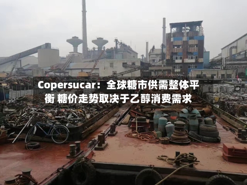 Copersucar：全球糖市供需整体平衡 糖价走势取决于乙醇消费需求-第2张图片