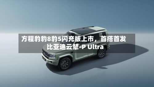 方程豹豹8豹5闪充版上市，首搭首发比亚迪云辇-P Ultra-第2张图片