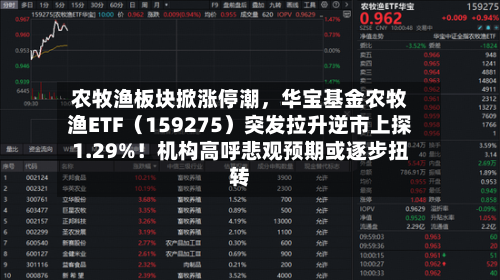 农牧渔板块掀涨停潮，华宝基金农牧渔ETF（159275）突发拉升逆市上探1.29%！机构高呼悲观预期或逐步扭转-第1张图片