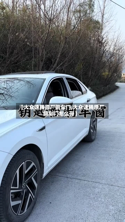 【大众速腾原厂前车门,大众速腾原厂前车门怎么开】-第3张图片