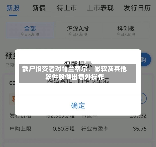 散户投资者对帕兰蒂尔、微软及其他软件股做出意外操作-第2张图片