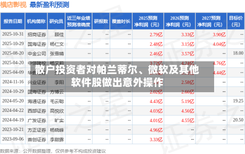 散户投资者对帕兰蒂尔	、微软及其他软件股做出意外操作-第3张图片