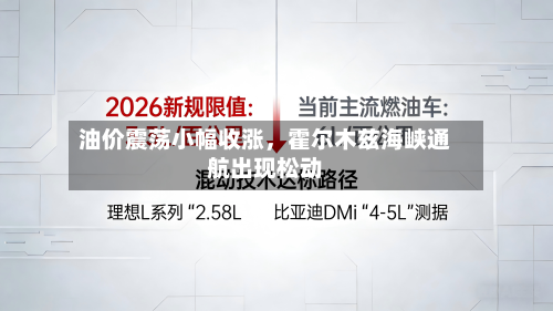 油价震荡小幅收涨，霍尔木兹海峡通航出现松动-第1张图片