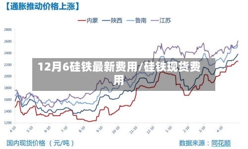 12月6硅铁最新费用/硅铁现货费用-第1张图片