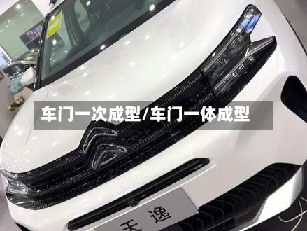 车门一次成型/车门一体成型-第1张图片