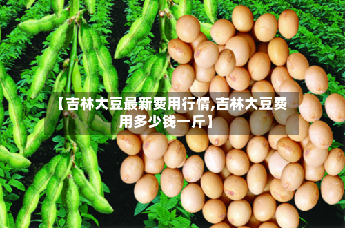 【吉林大豆最新费用行情,吉林大豆费用多少钱一斤】-第1张图片