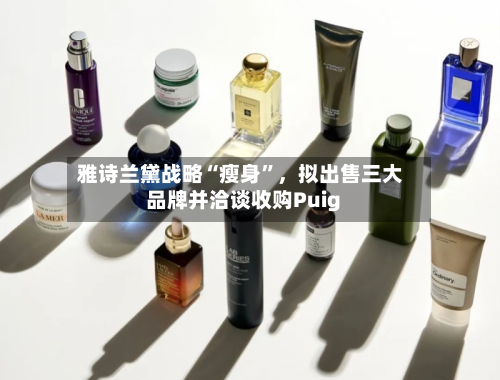 雅诗兰黛战略“瘦身”	，拟出售三大品牌并洽谈收购Puig-第3张图片