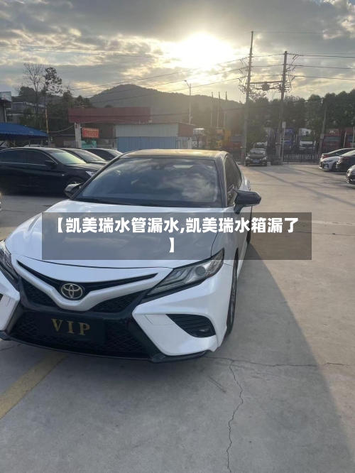 【凯美瑞水管漏水,凯美瑞水箱漏了】-第2张图片