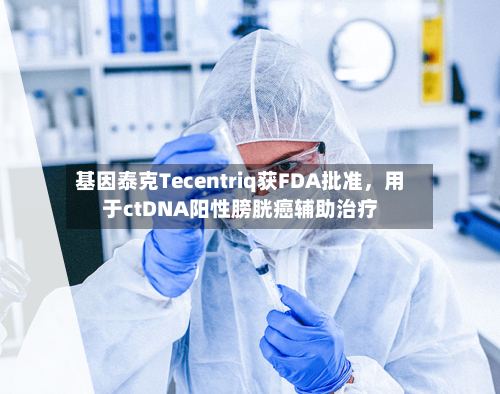 基因泰克Tecentriq获FDA批准，用于ctDNA阳性膀胱癌辅助治疗-第1张图片