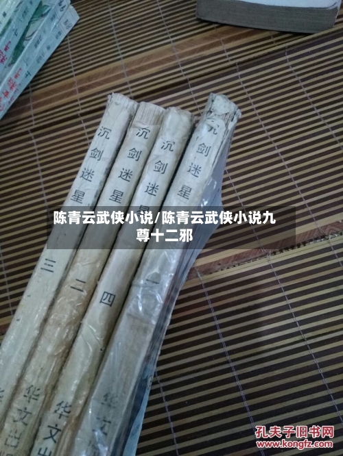 陈青云武侠小说/陈青云武侠小说九尊十二邪-第3张图片