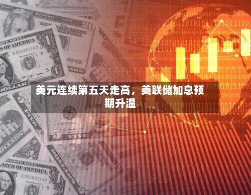 美元连续第五天走高，美联储加息预期升温-第1张图片