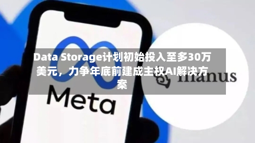 Data Storage计划初始投入至多30万美元，力争年底前建成主权AI解决方案-第3张图片