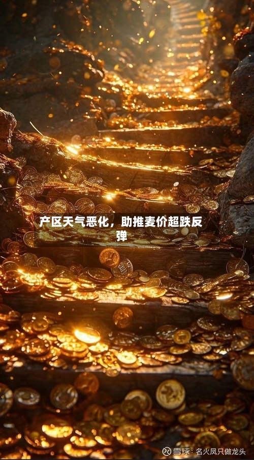 产区天气恶化	，助推麦价超跌反弹-第1张图片