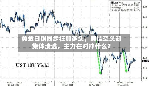 黄金白银同步狂加多头，美债空头却集体溃逃，主力在对冲什么？-第2张图片