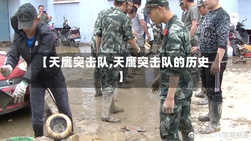 【天鹰突击队,天鹰突击队的历史】-第2张图片