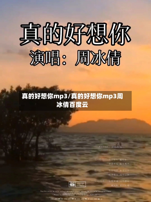真的好想你mp3/真的好想你mp3周冰倩百度云-第1张图片