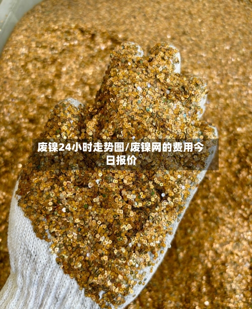 废镍24小时走势图/废镍网的费用今日报价-第1张图片