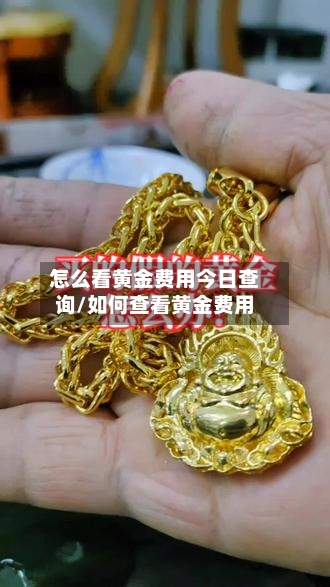 怎么看黄金费用今日查询/如何查看黄金费用-第1张图片