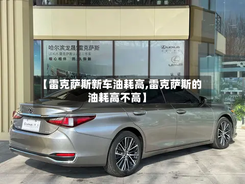 【雷克萨斯新车油耗高,雷克萨斯的油耗高不高】-第2张图片