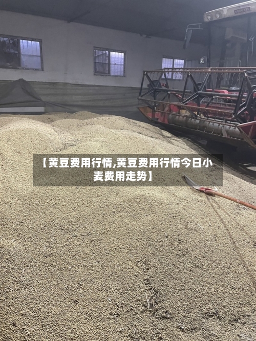 【黄豆费用行情,黄豆费用行情今日小麦费用走势】-第1张图片