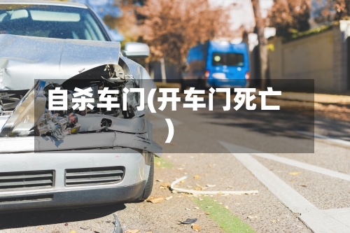 自杀车门(开车门死亡)-第2张图片