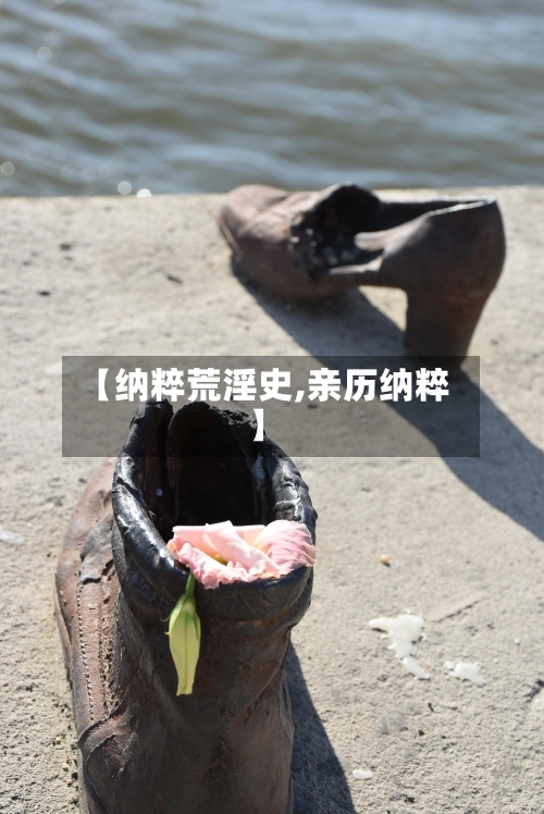 【纳粹荒淫史,亲历纳粹】-第2张图片