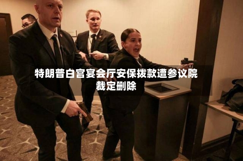 特朗普白宫宴会厅安保拨款遭参议院裁定删除-第3张图片